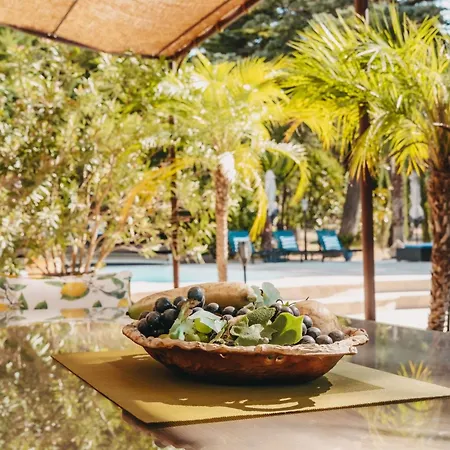 Charmante Mit Terrasse Und Pool By Interhome Apartment Armissan